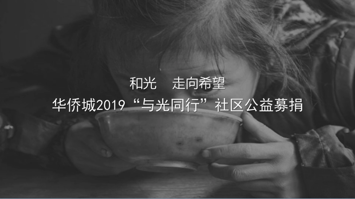 武汉华侨城党员公益行暨第二届业主爱心捐赠活动_第7页