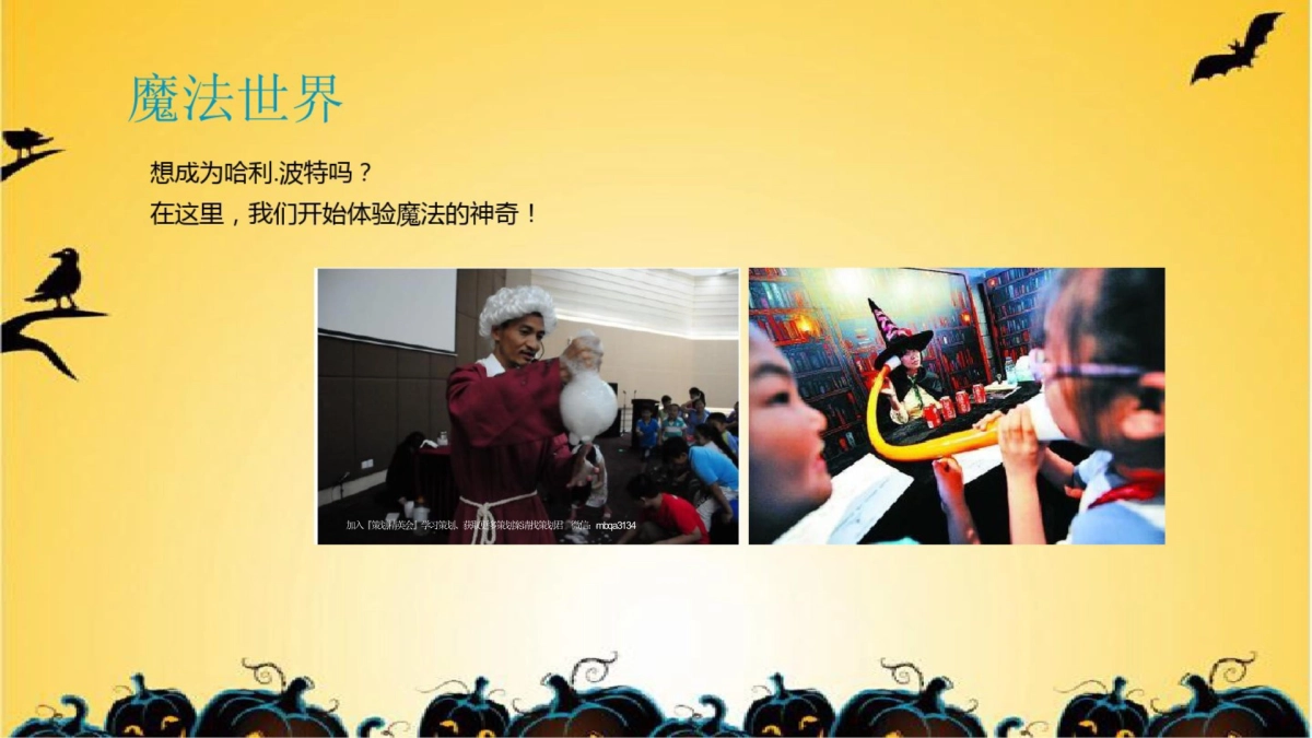 小鬼当家万圣节嘉年华活动方案_第6页