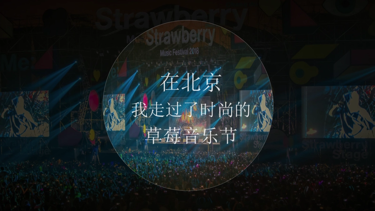 小镇古风文化音乐节活动策划方案_第5页