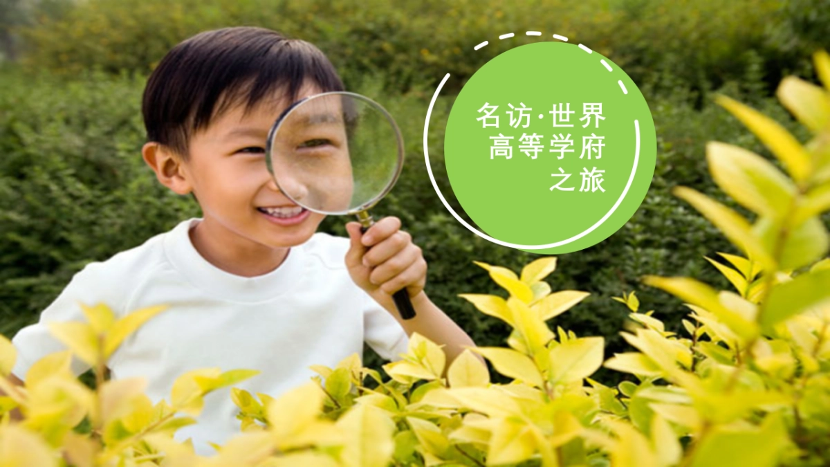 新世界名汇开启世界之窗系列活动策划案_第2页