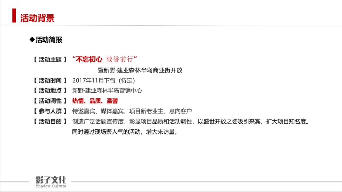 新野森林半岛商业街开放活动方案_第3页
