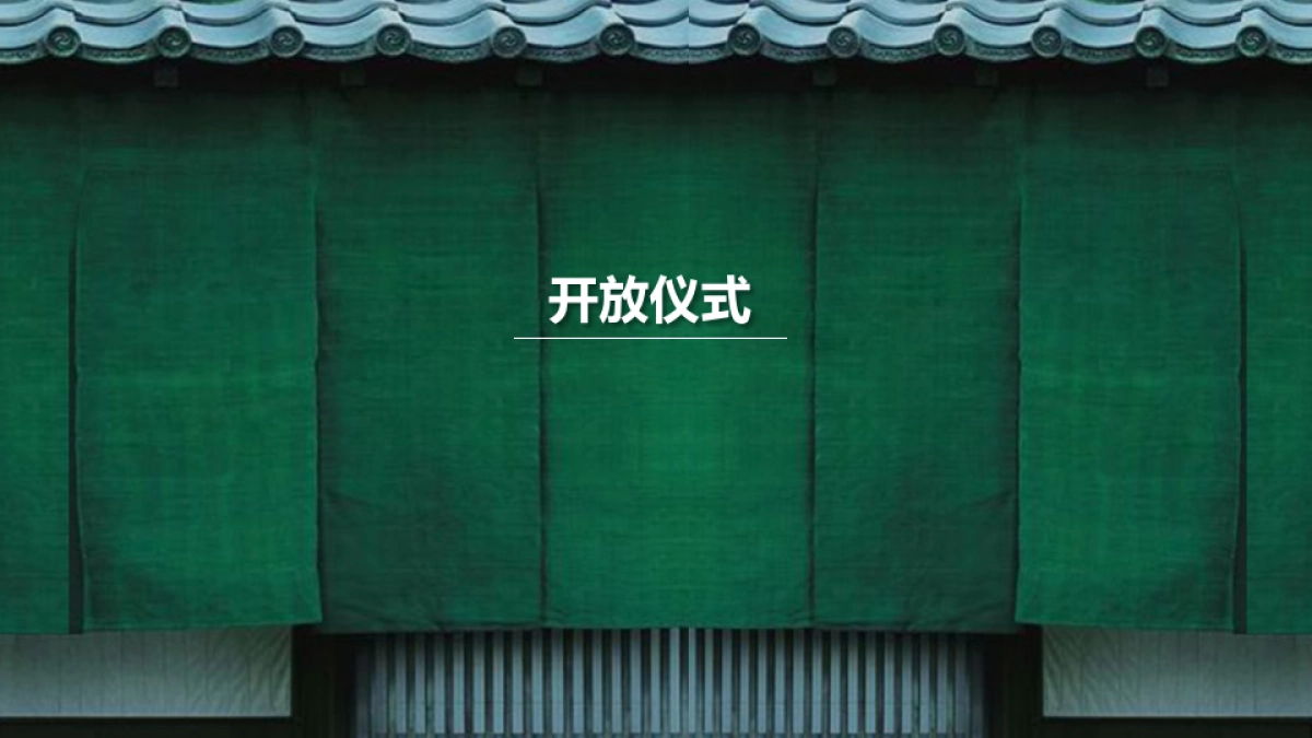 新野森林半岛商业街开放活动方案_第4页