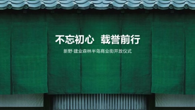 新野森林半岛商业街开放活动方案
