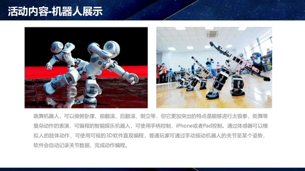 学校科技节活动方案_第8页