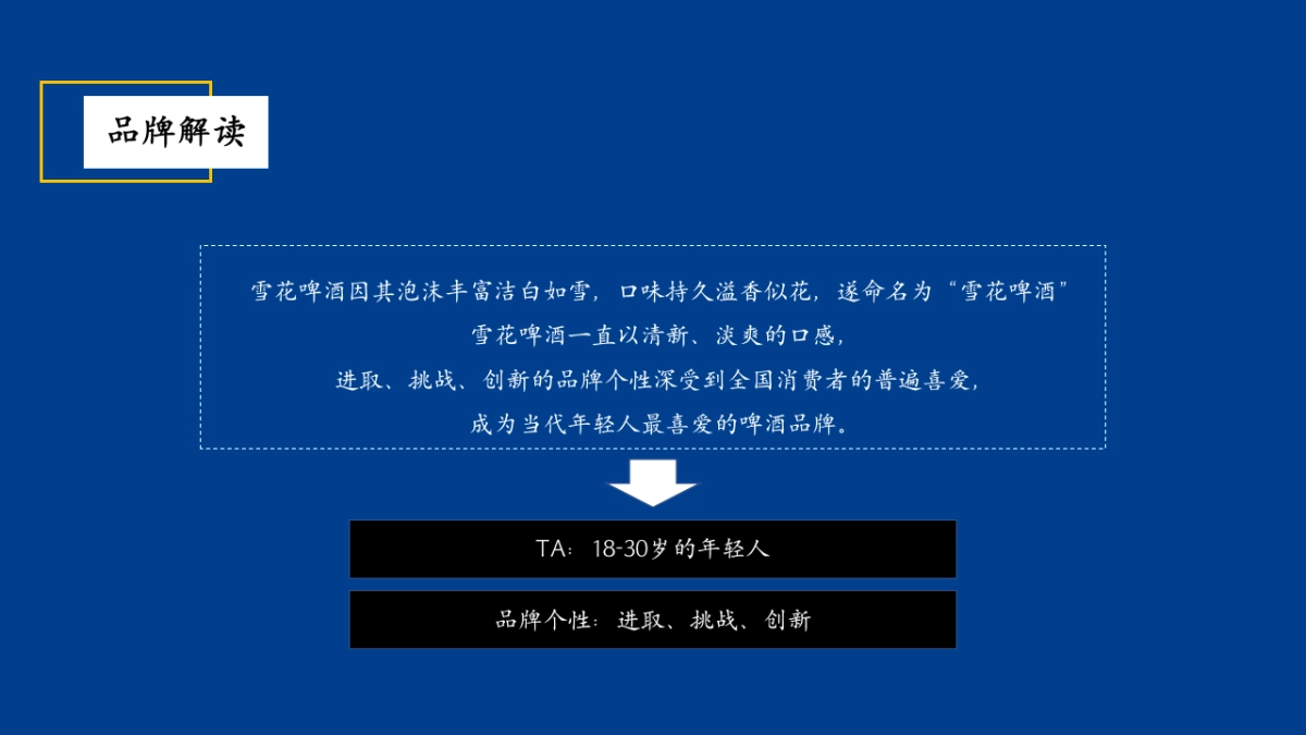 雪花民族啤酒节(年轻无极限 无畏共天涯主题)活动策划方案_第5页