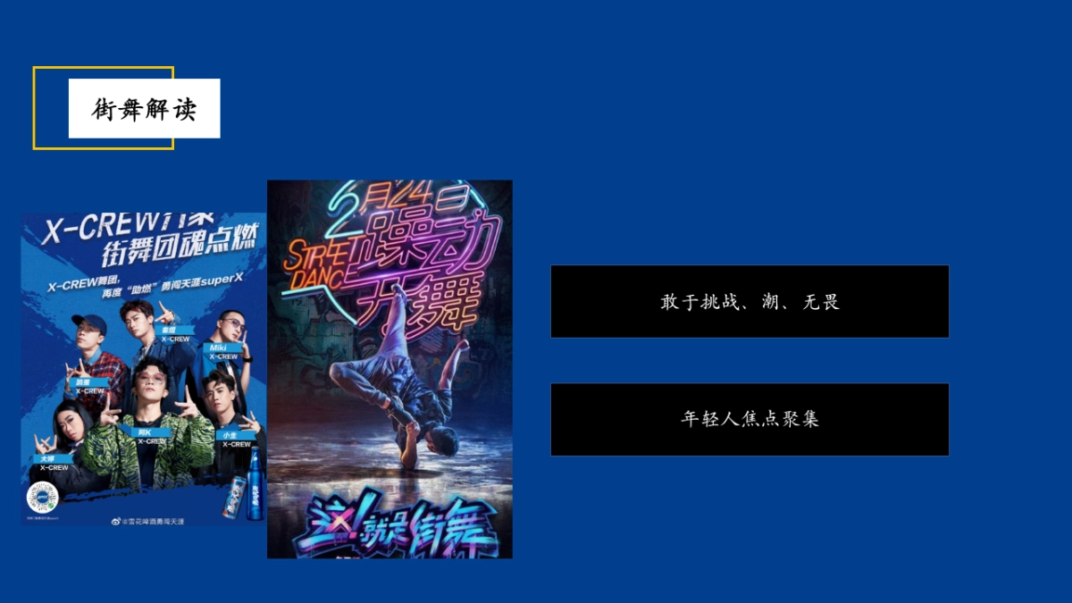 雪花民族啤酒节(年轻无极限 无畏共天涯主题)活动策划方案_第8页