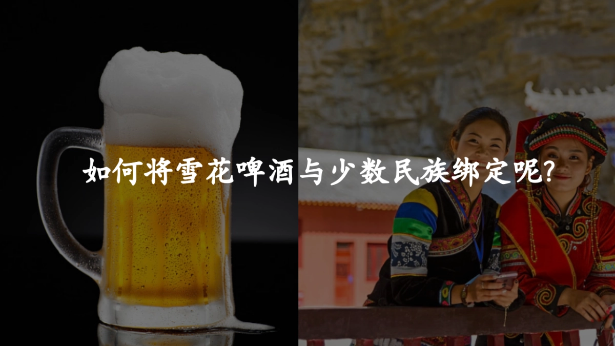 雪花民族啤酒节(年轻无极限 无畏共天涯主题)活动策划方案_第9页