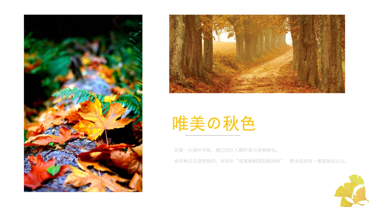 业主南山游活动策划方案_第2页