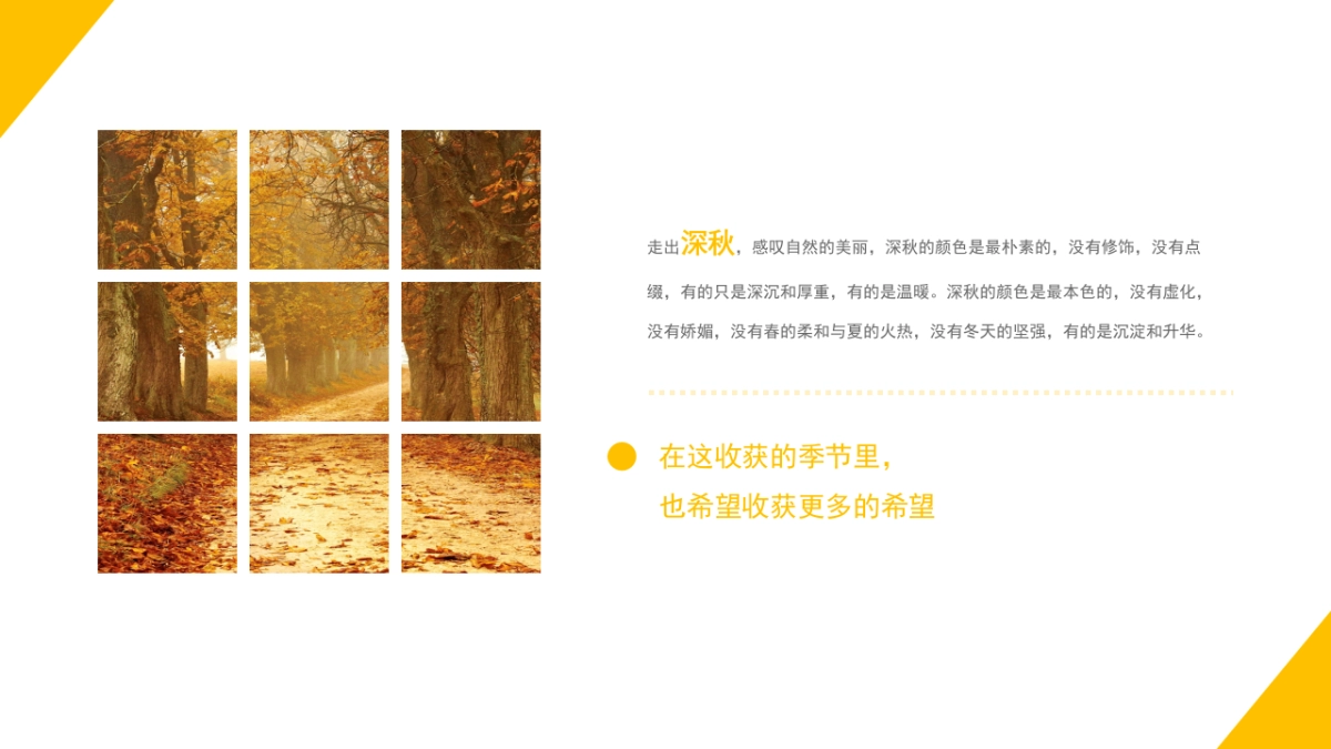 业主南山游活动策划方案_第3页