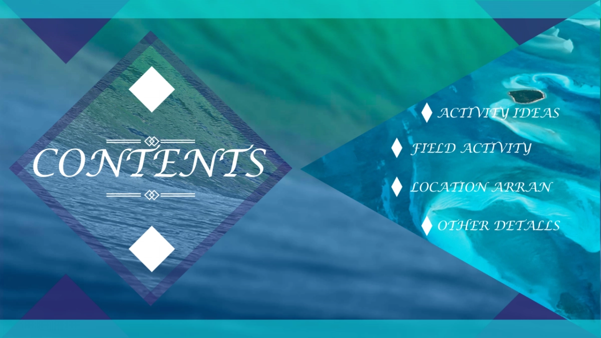 音乐节全案策划方案_第2页