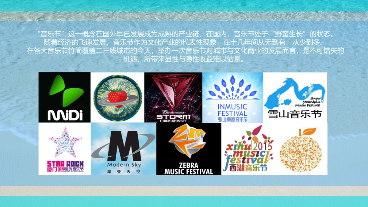 音乐节全案策划方案_第4页