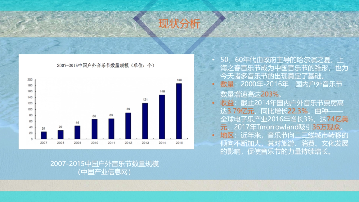 音乐节全案策划方案_第5页