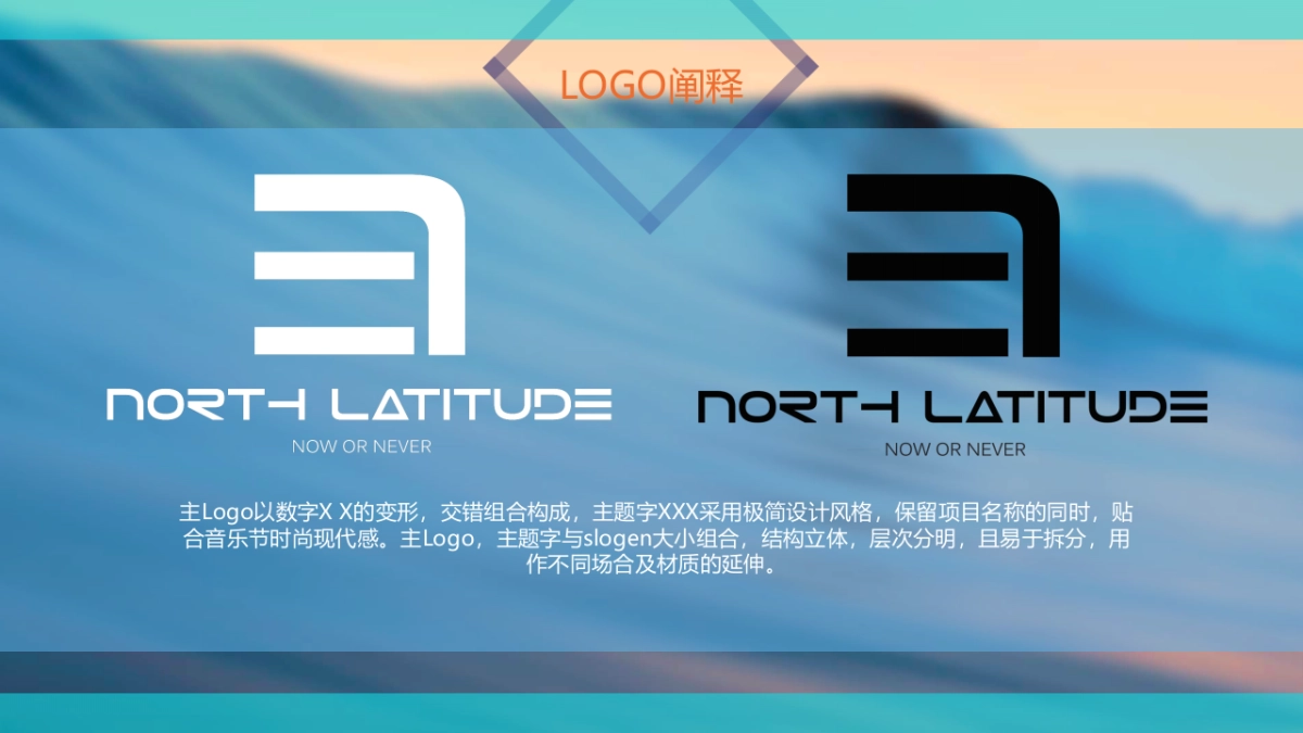 音乐节全案策划方案_第8页