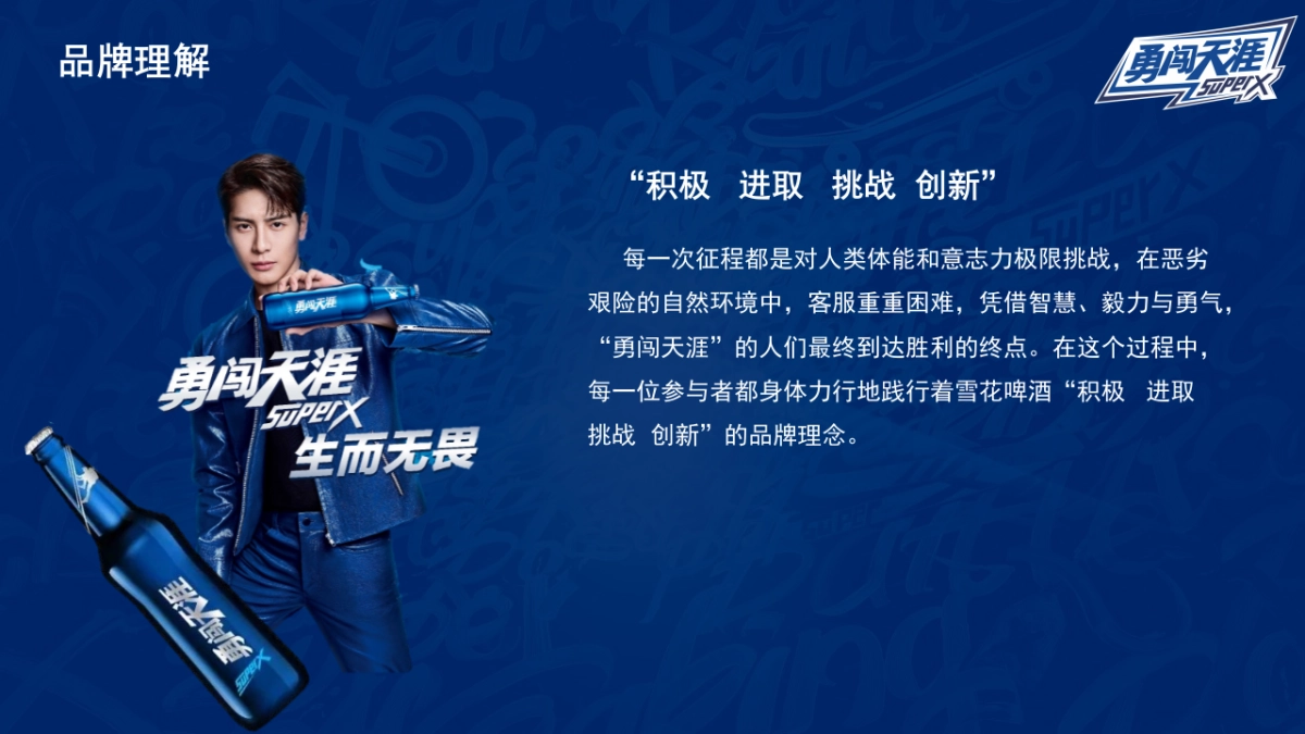 勇闯天涯 MINI酷顽啤酒节活动策划方案_第6页