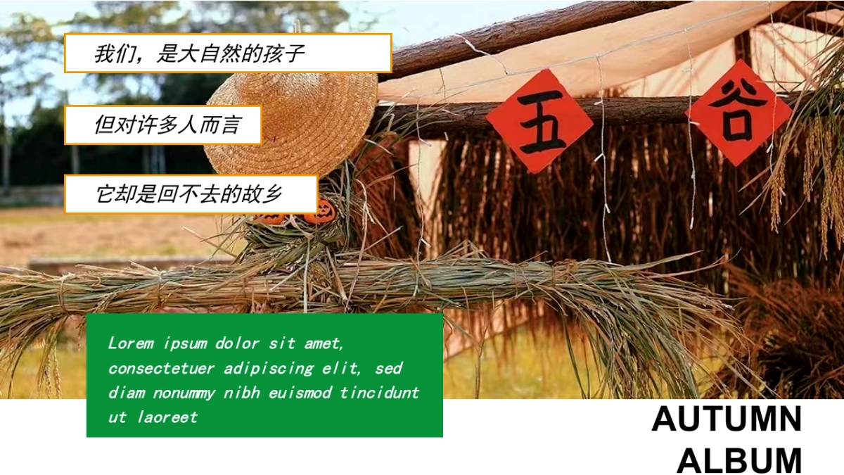 遇见秋日季 探索新趣意秋季主题户外农场秋收体验嘉年华活动策划方案-53P_第3页