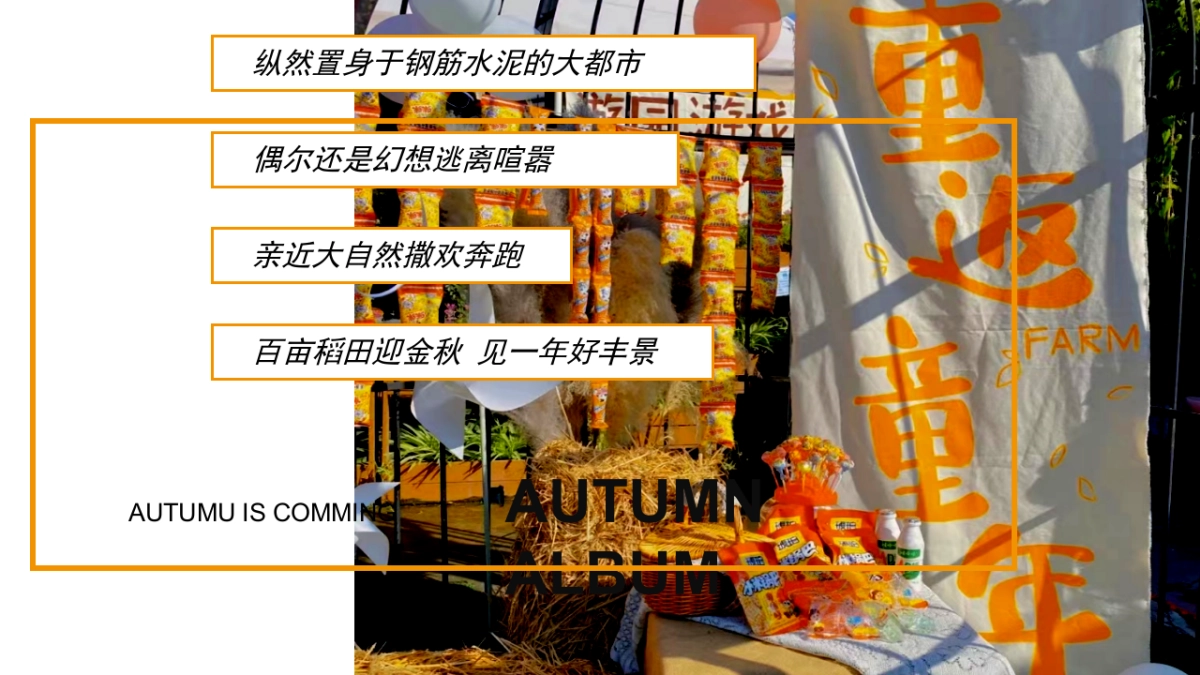 遇见秋日季 探索新趣意秋季主题户外农场秋收体验嘉年华活动策划方案-53P_第5页