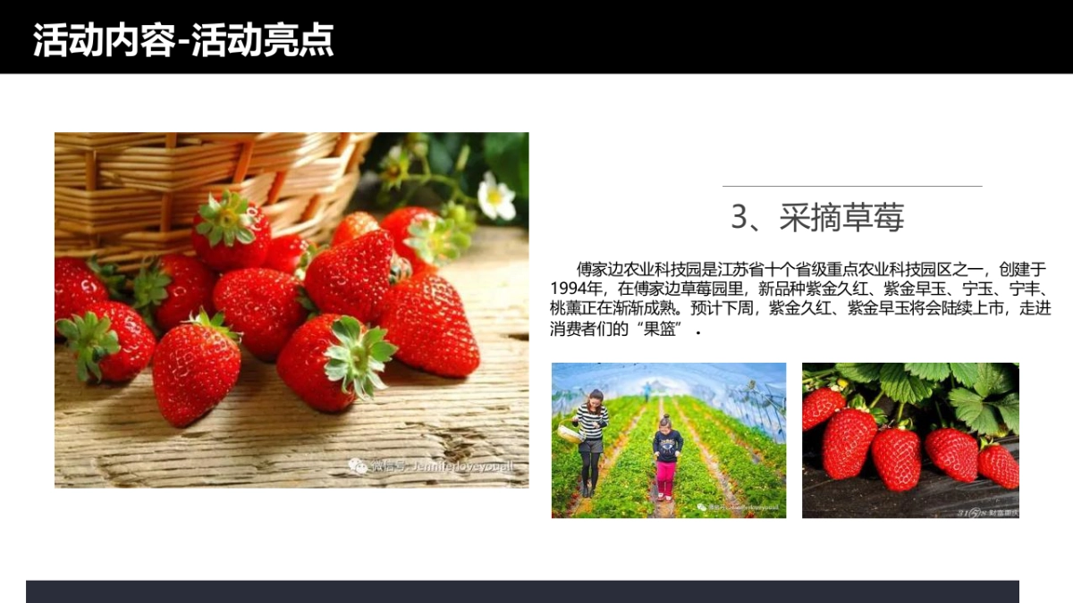 长安马自达创驰蓝天纵享古城美景活动策划案_第9页