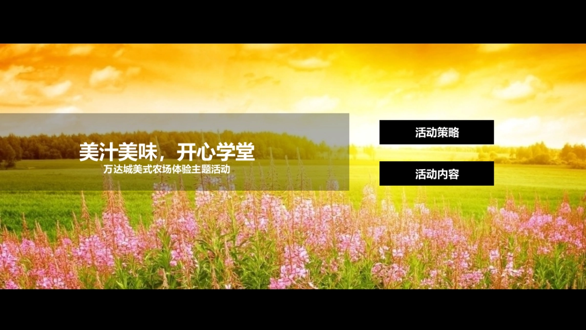 2017万达城开心农场3-4月暖场活动方案_第2页