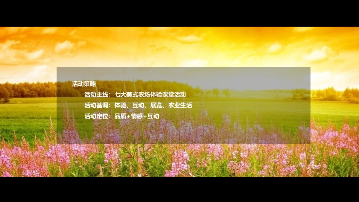 2017万达城开心农场3-4月暖场活动方案_第3页