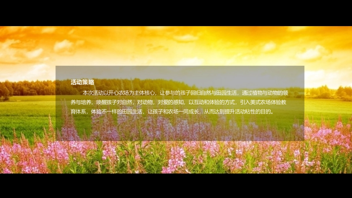 2017万达城开心农场3-4月暖场活动方案_第5页