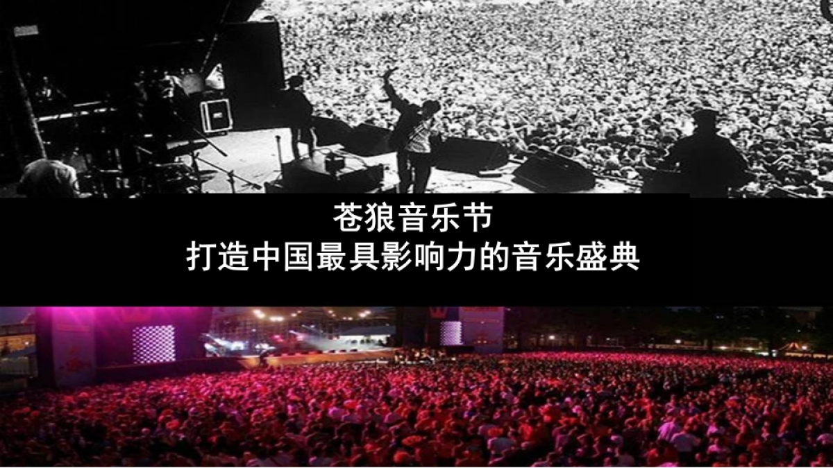 2017乌兰察布首届苍狼摇滚音乐节暨集宁国际皮革城五周年店庆策划案_第7页