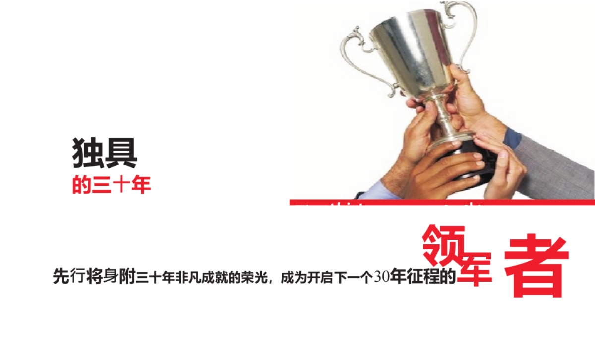 2017先行集团30周年庆活动方案_第5页