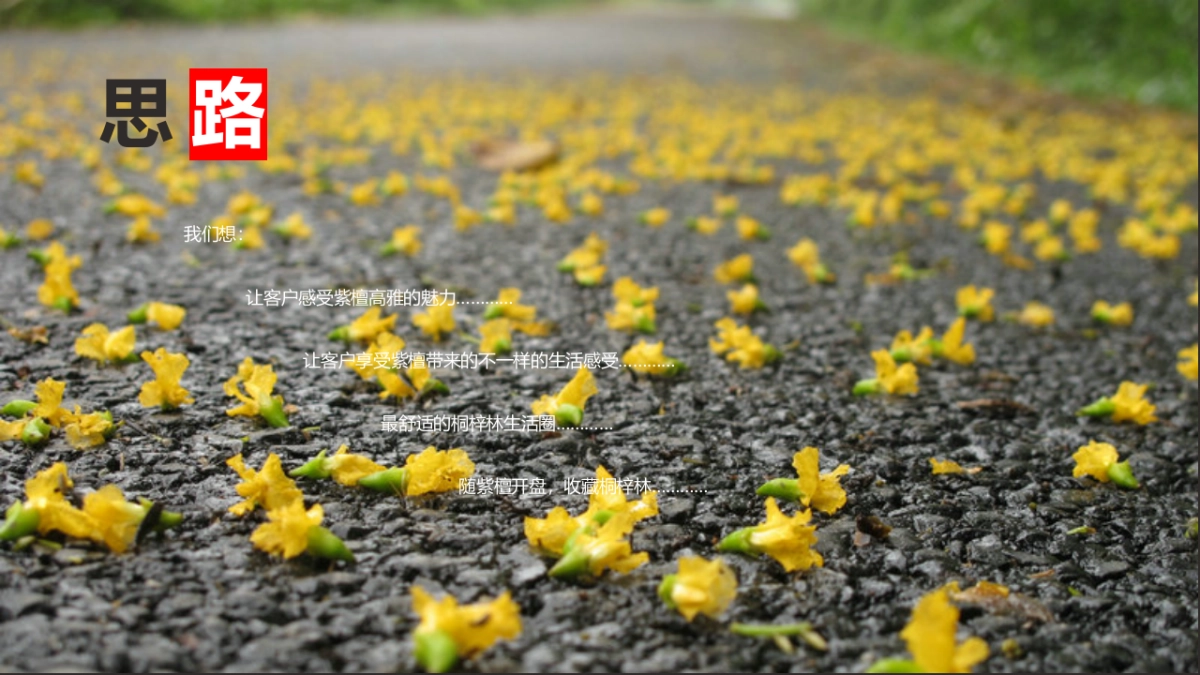 2017紫檀II开盘活动方案_第2页