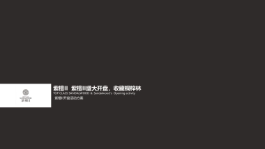 2017紫檀II开盘活动方案