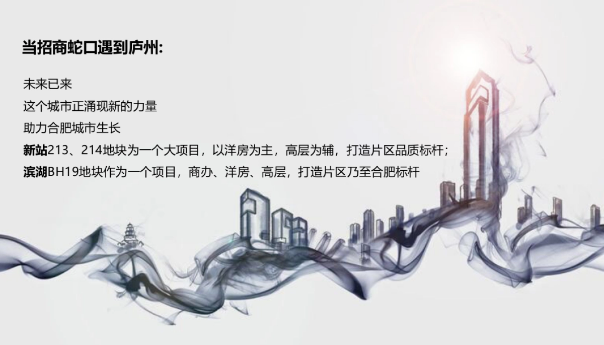 2017招商蛇口合肥品牌发布会策划案_第6页