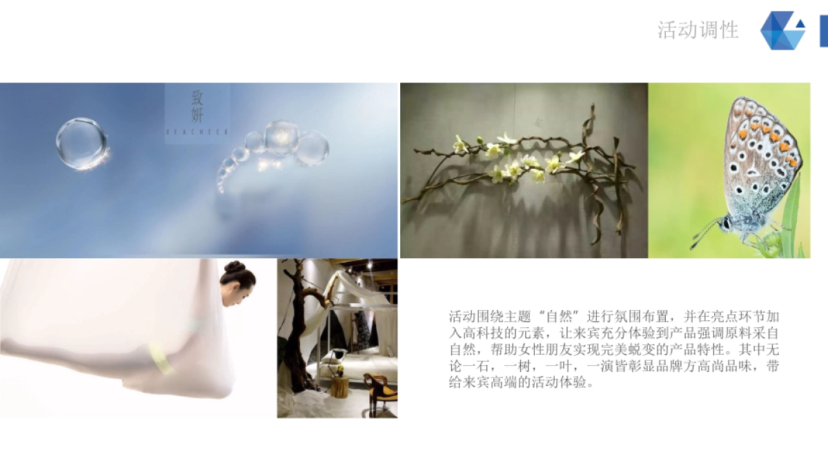 2017致妍新品发布会会暨招商会策划案_第5页
