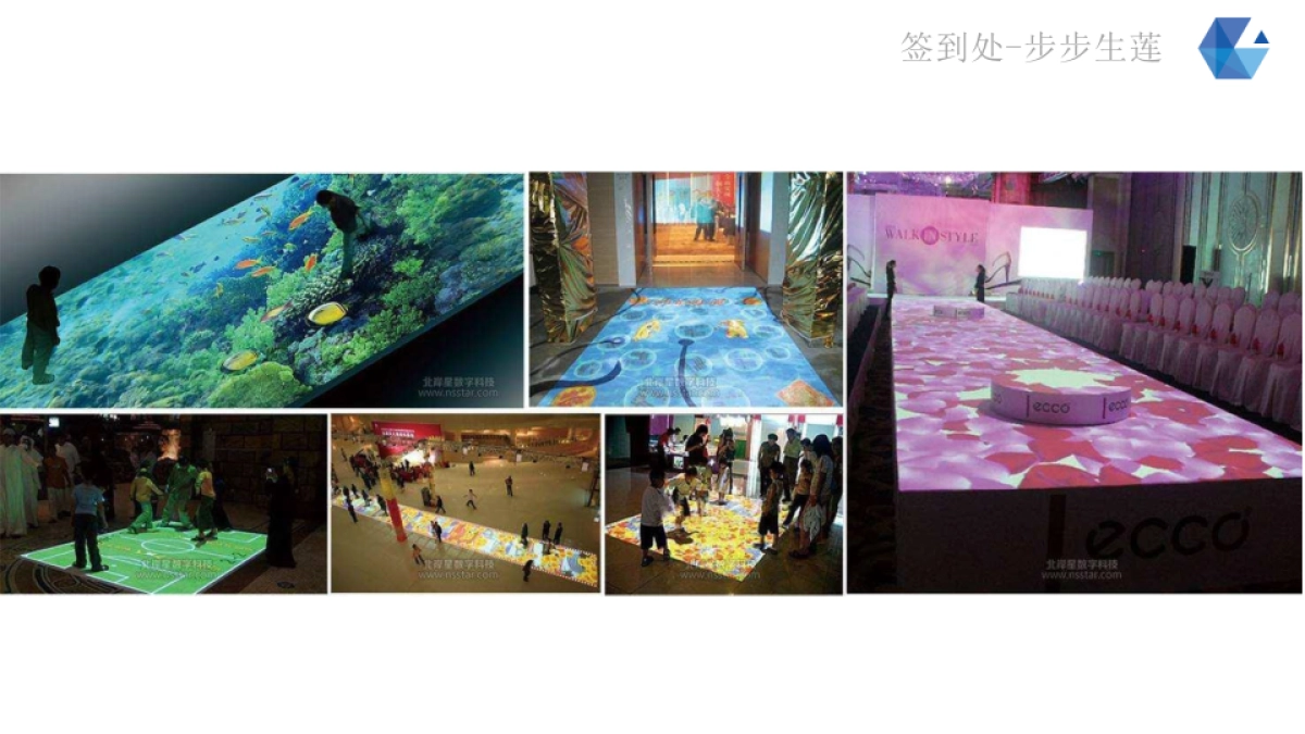 2017致妍新品发布会会暨招商会策划案_第7页