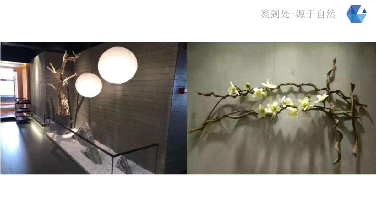 2017致妍新品发布会会暨招商会策划案_第8页