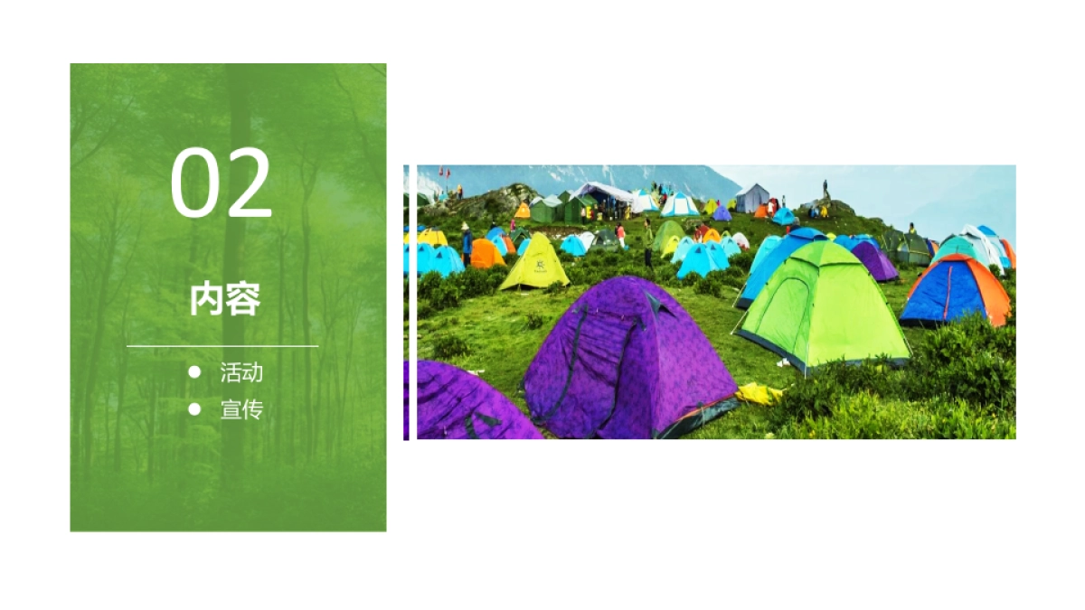 2017中国(成都)房车文化节暨房车旅游文化展览会招商案_第8页