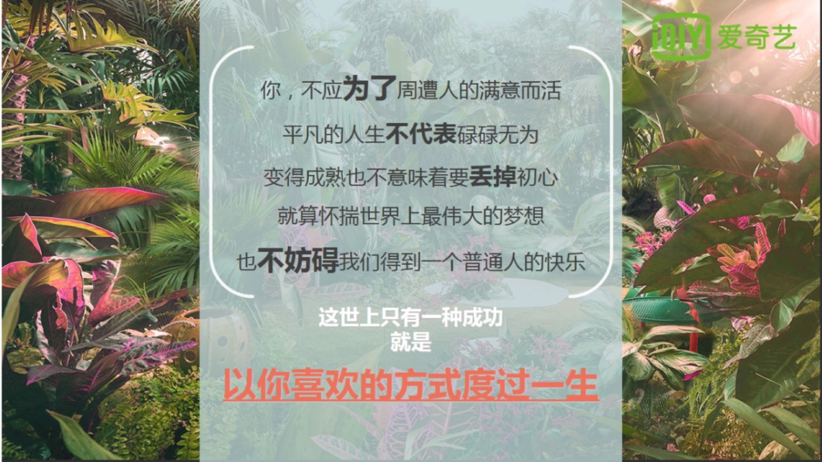 2018爱奇艺自制综艺《姐姐好饿3》商业招商方案_第4页