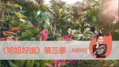 2018爱奇艺自制综艺《姐姐好饿3》商业招商方案