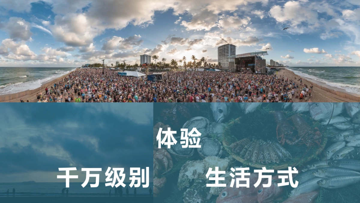 2018梅山梅好休96.闲节招商方案_第7页