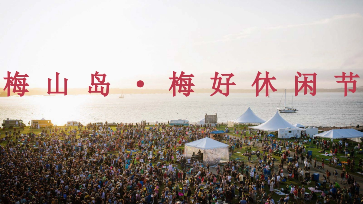 2018梅山梅好休96.闲节招商方案_第8页