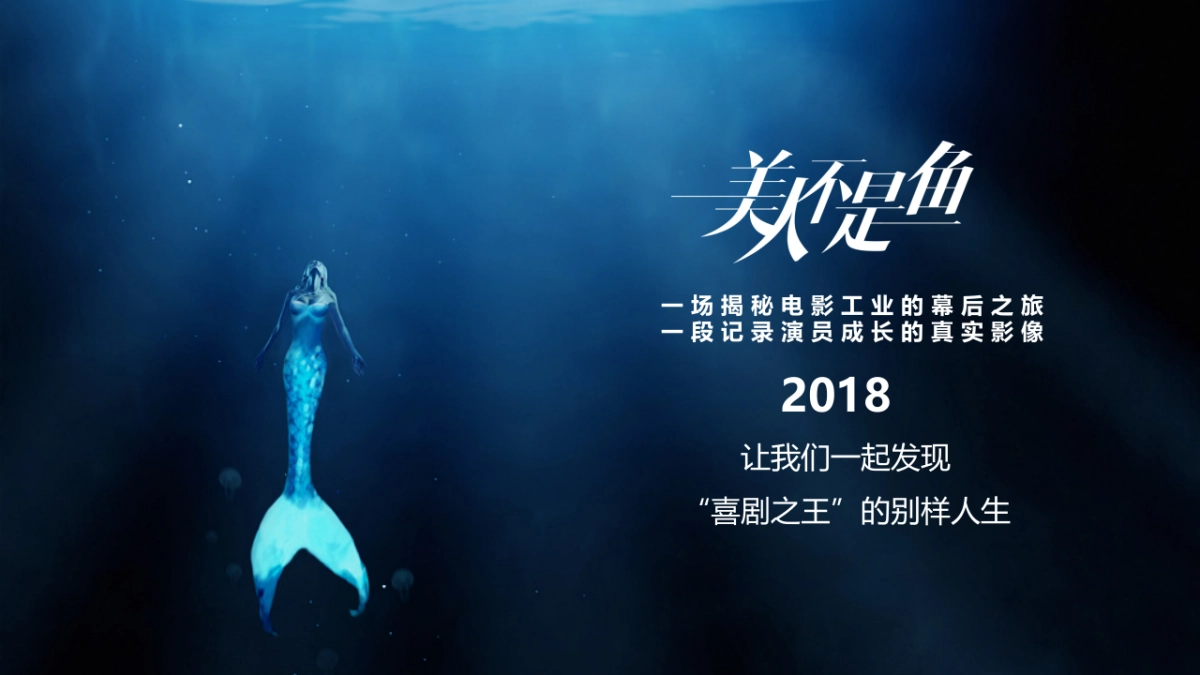 2018年爱奇艺自制综艺《美人不是鱼》商业招商方案_第2页