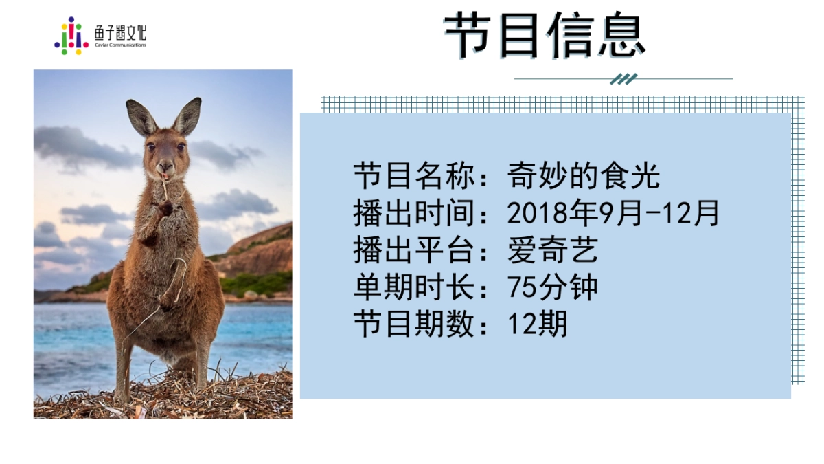 2018年爱奇艺自制综艺《奇妙的食光》招商方案_第2页