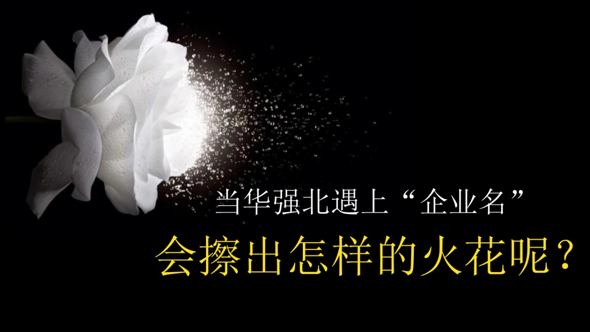 2019 品胜战略招商发布会策划方案_第10页