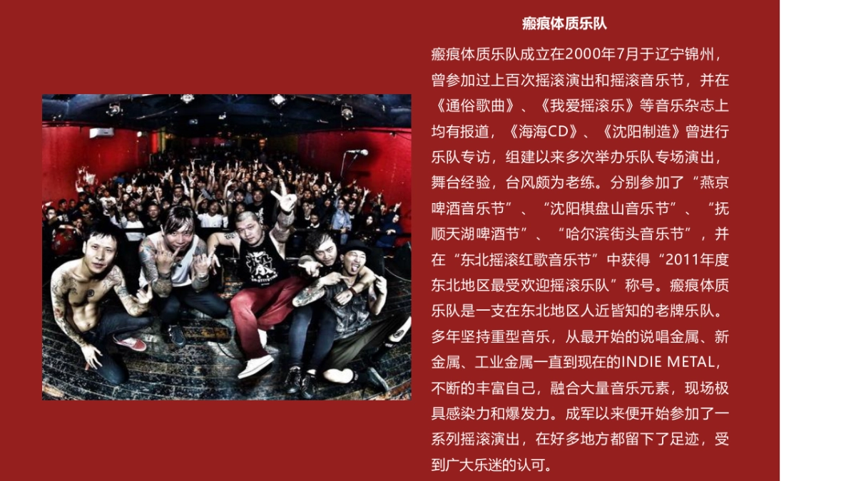 橙果音乐节招商案_第5页