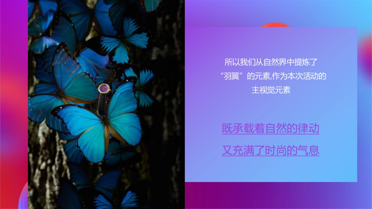 服装品牌发布会招商大会活动方案_第9页