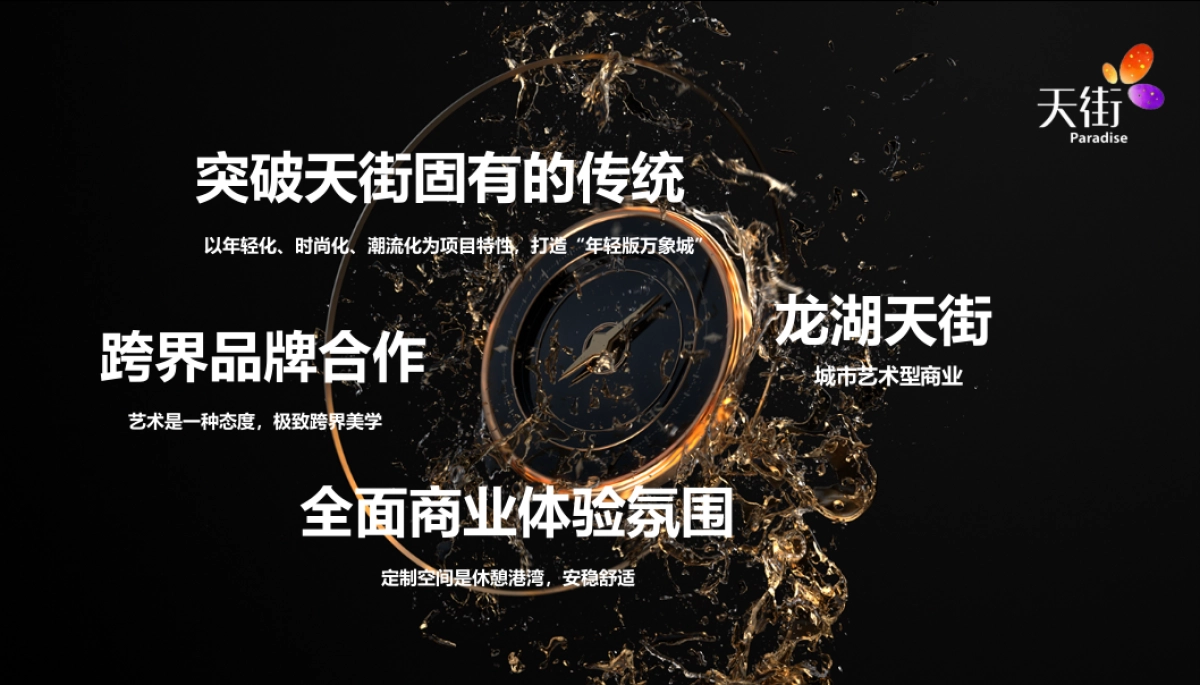 龙湖天街招商答谢宴_第6页