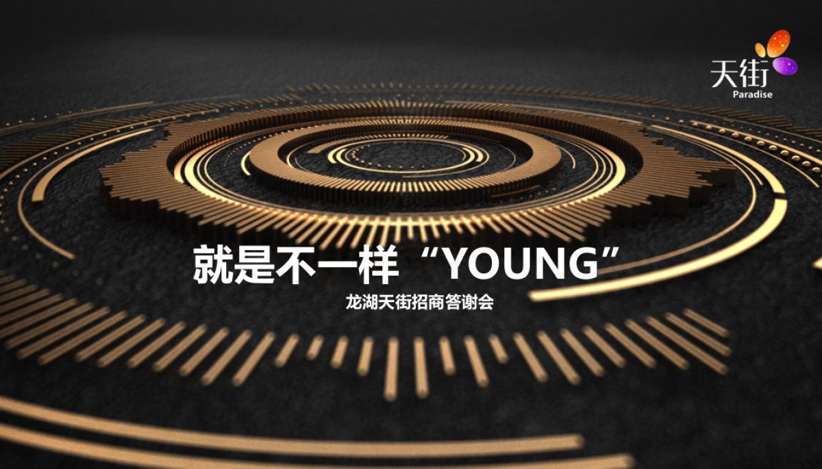 龙湖天街招商答谢宴_第8页