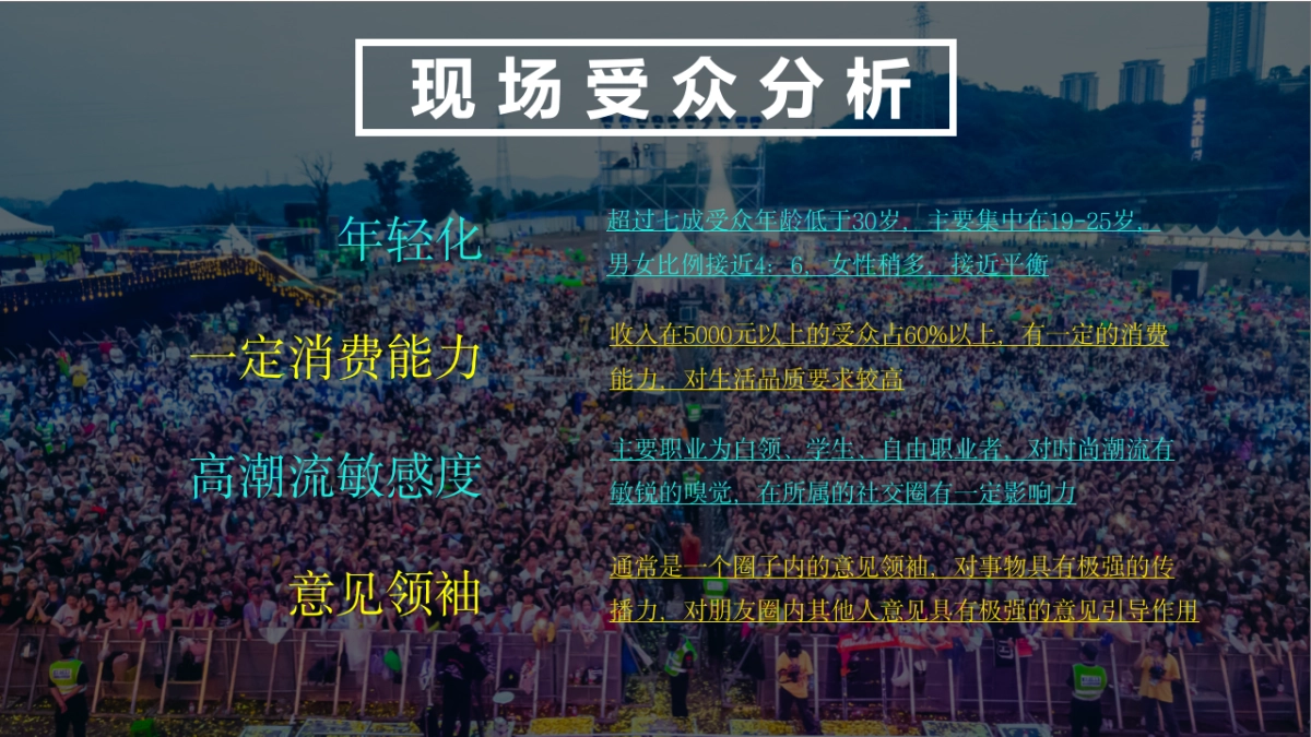 音乐节招商方案_第10页