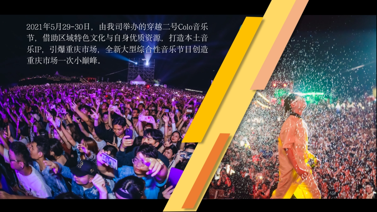 音乐节招商方案_第2页