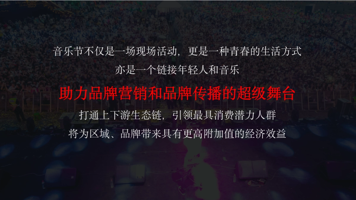 音乐节招商方案_第4页