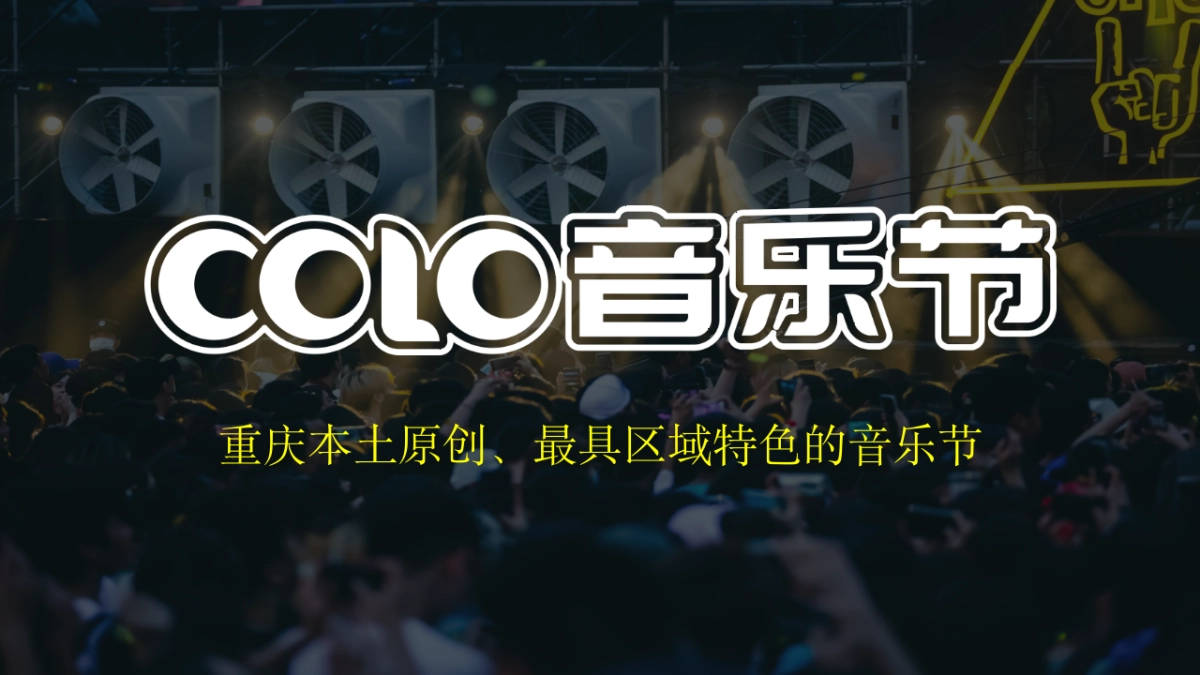 音乐节招商方案_第5页