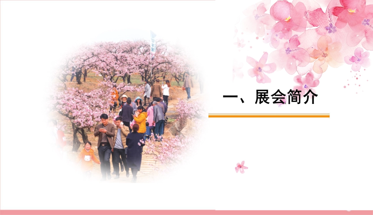 2017尚市桃花节招商方案_第3页