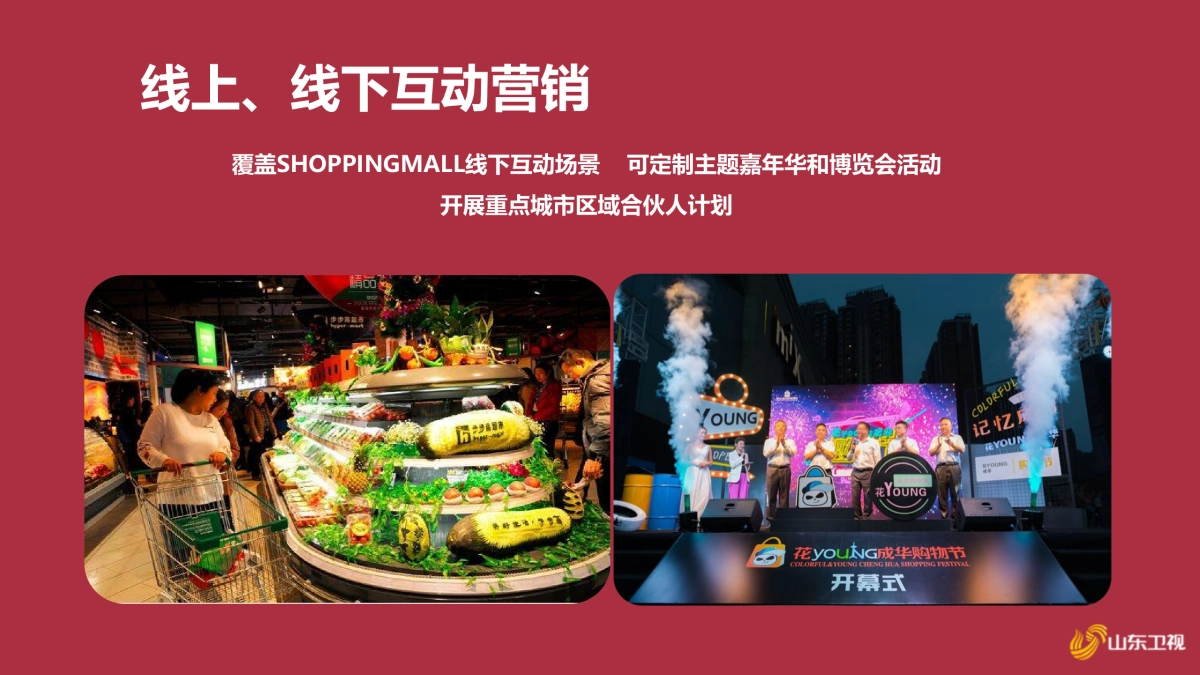 2021山东卫视《鲤赞新生活》招商方案_第10页